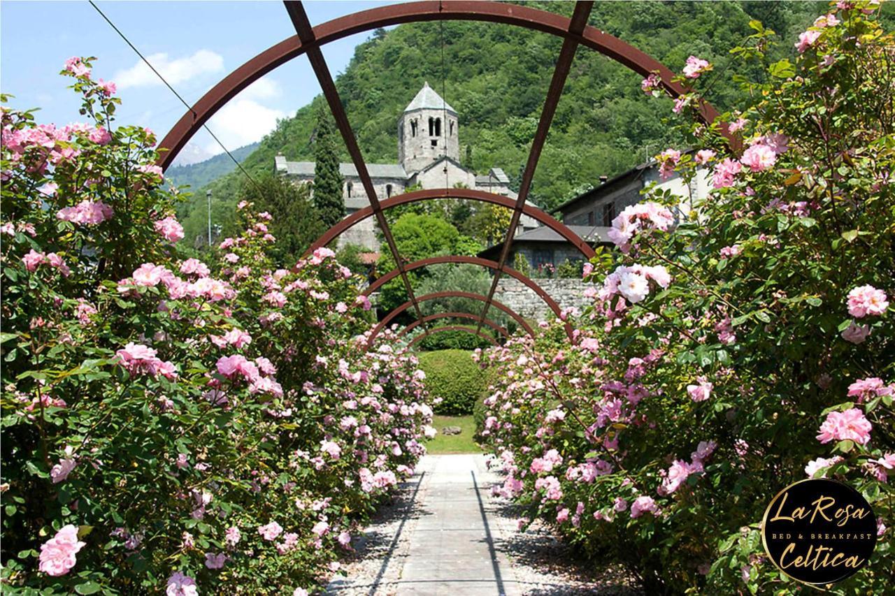 B&B La Rosa Celtica Capo di Ponte Eksteriør billede